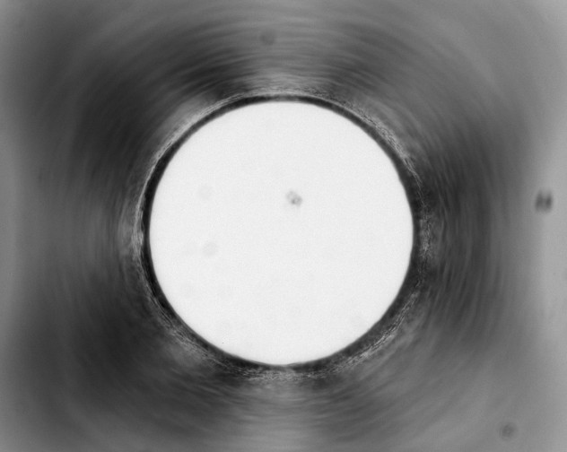 X0000103930885200810101351