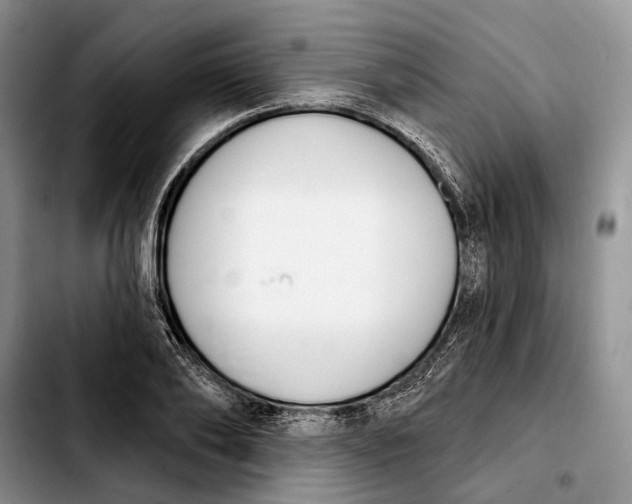 X0000103930886200810101351