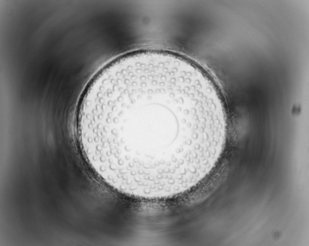 X0000103930887200810101351