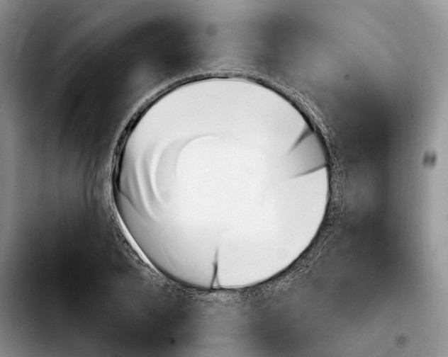 X0000103930888200810101351