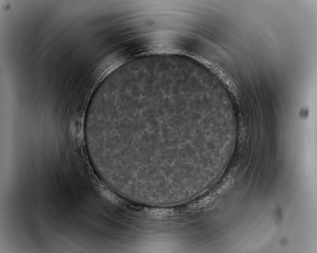 X0000103930889200810101351