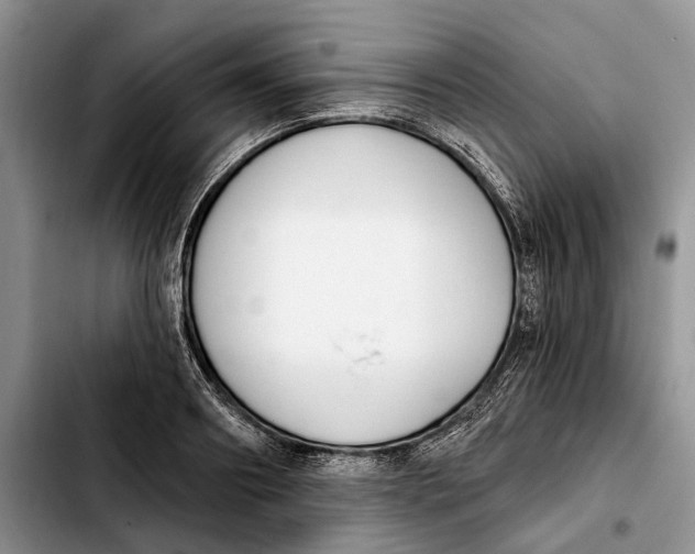 X0000103930890200810101351