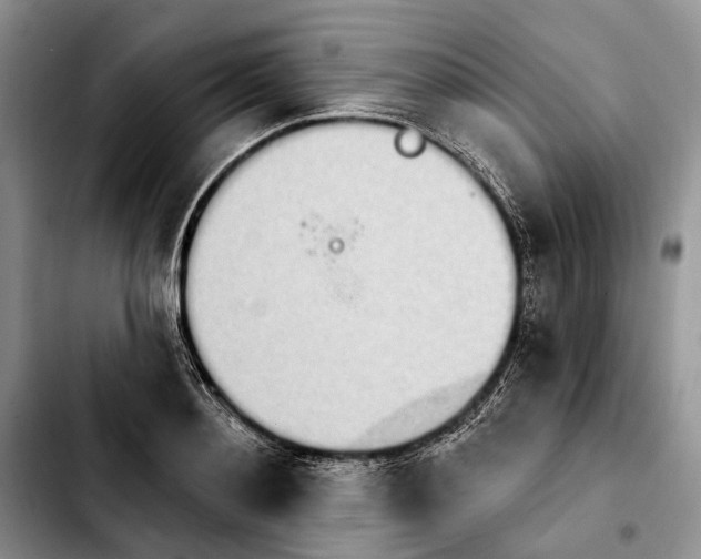 X0000103930892200810101351