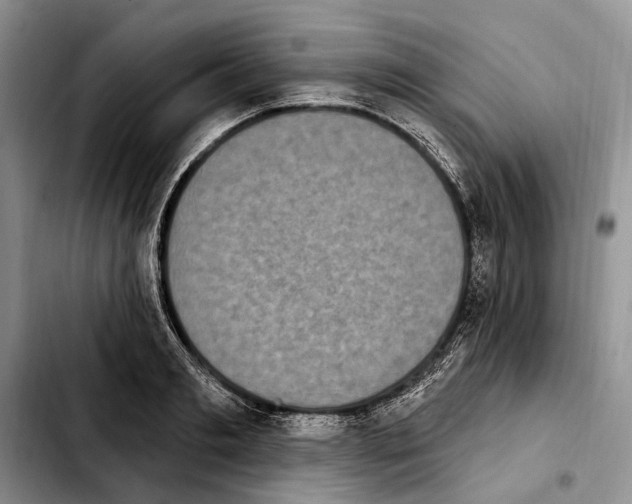 X0000103930893200810101351