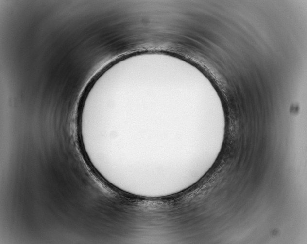 X0000103930894200810101351