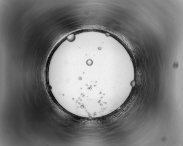 X0000103930895200810101351