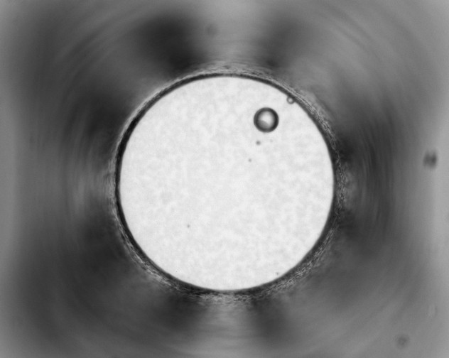 X0000103930896200810101351