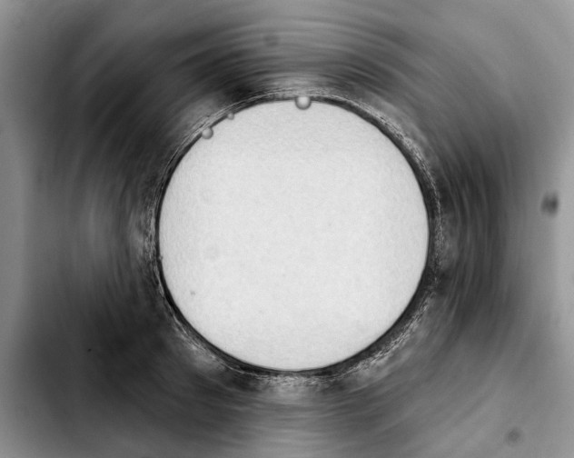 X0000103930897200810101351