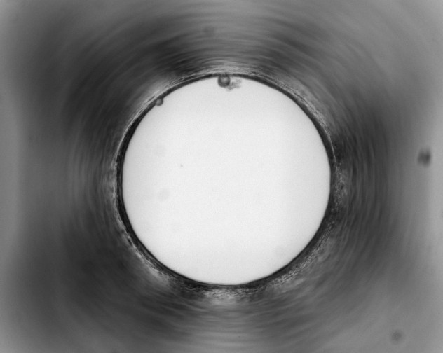 X0000103930898200810101351