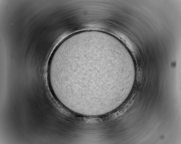 X0000103930899200810101350