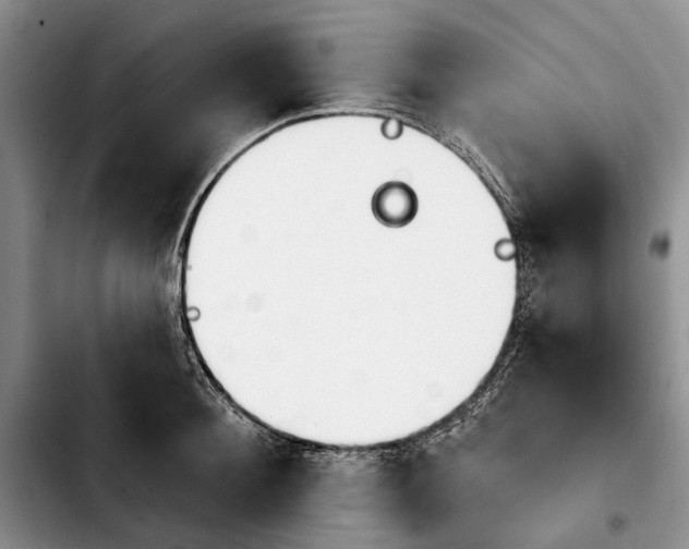 X0000103930900200810101350