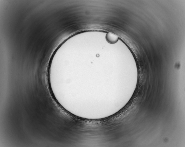 X0000103930901200810101350