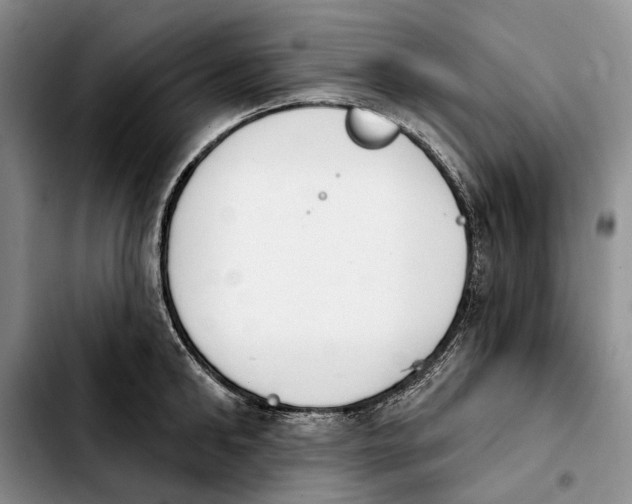 X0000103930902200810101350