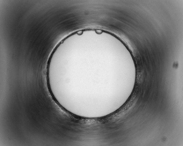 X0000103930903200810101350