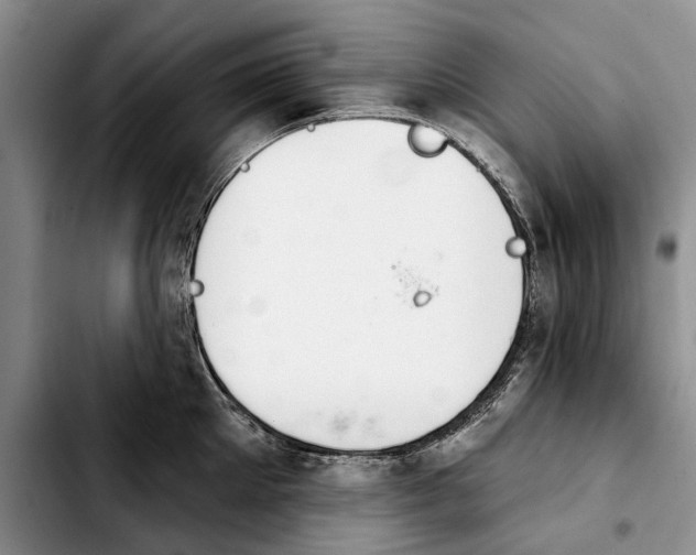 X0000103930905200810101350