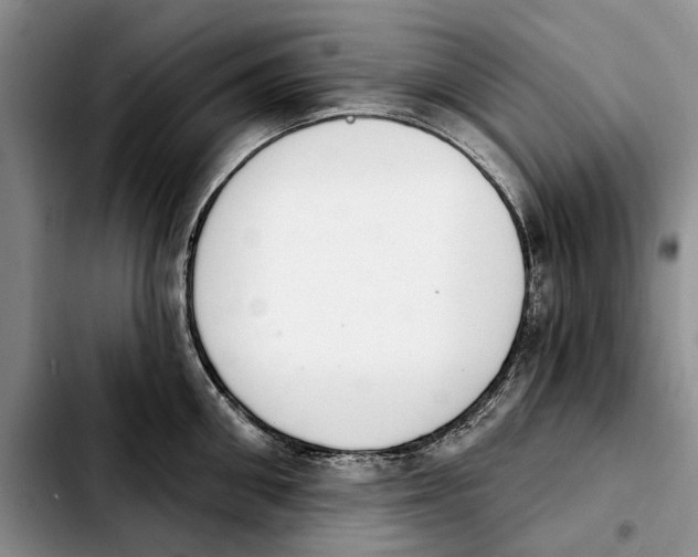 X0000103930906200810101350