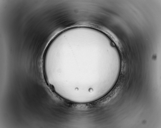 X0000103930907200810101350