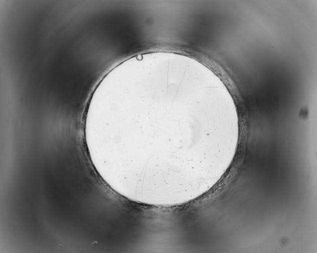 X0000103930908200810101350