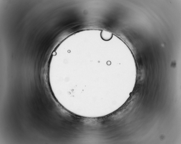 X0000103930909200810101350