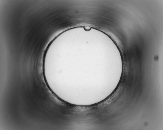 X0000103930910200810101350