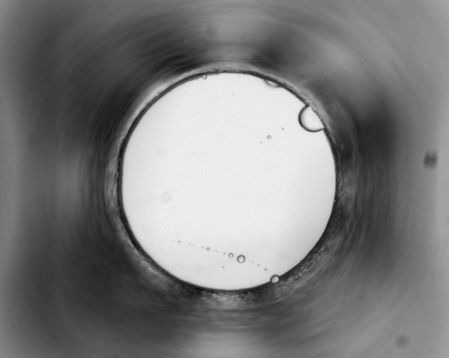 X0000103930911200810101350