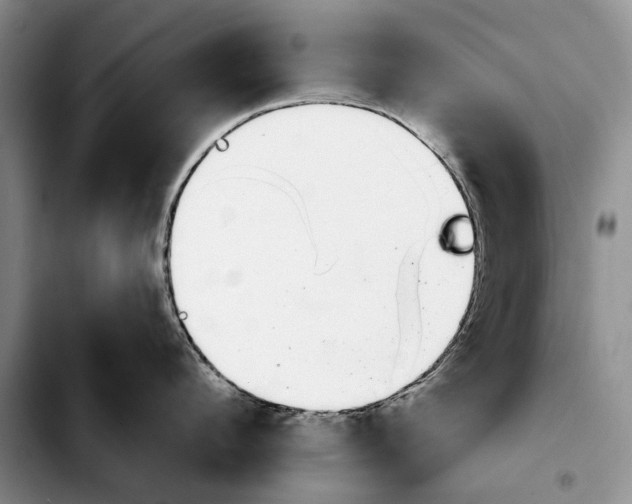 X0000103930912200810101350