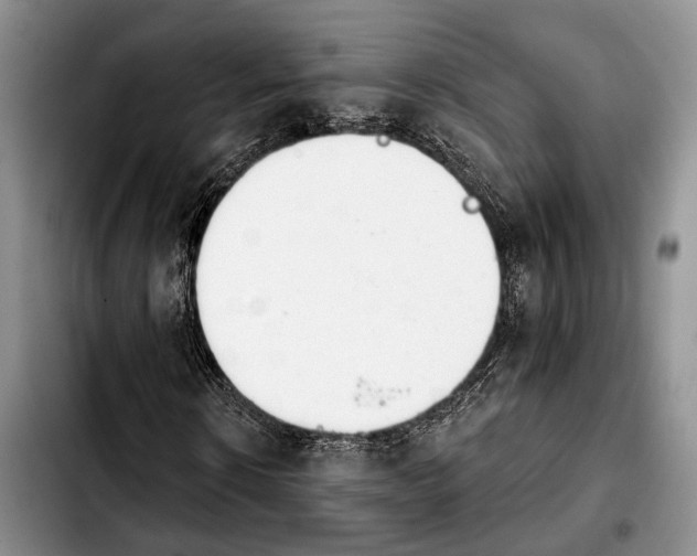 X0000103930914200810101350