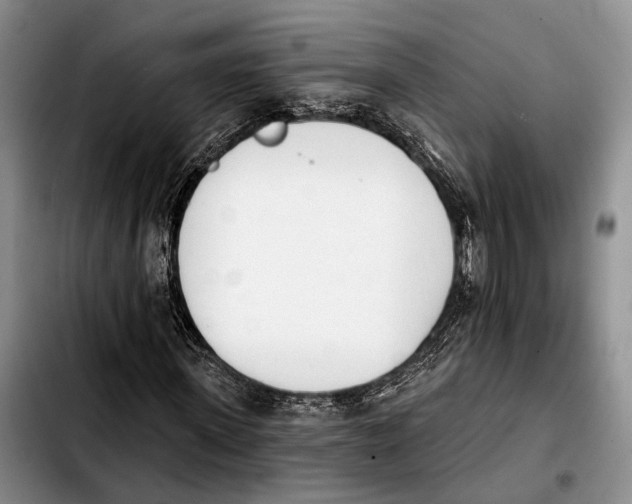 X0000103930915200810101350