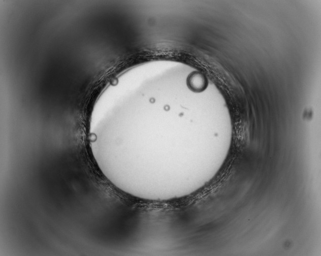 X0000103930916200810101350