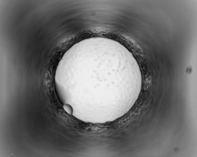 X0000103930917200810101350