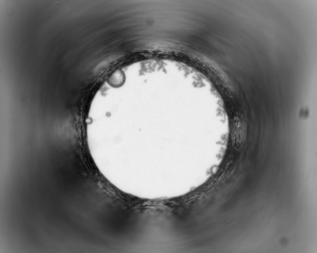 X0000103930918200810101350