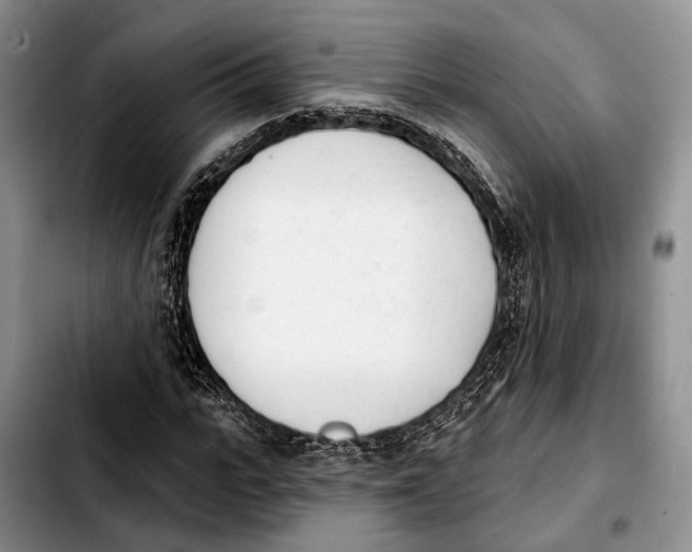 X0000103930919200810101350