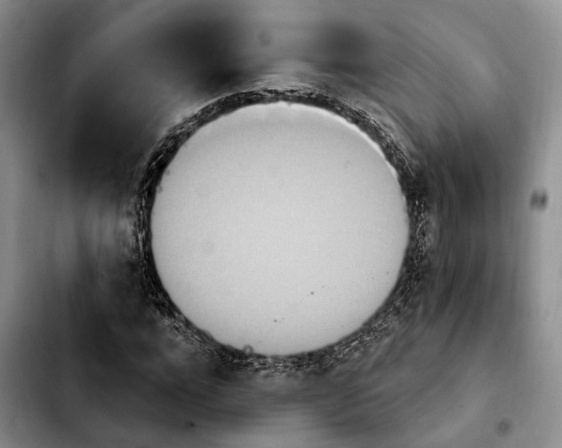 X0000103930920200810101350