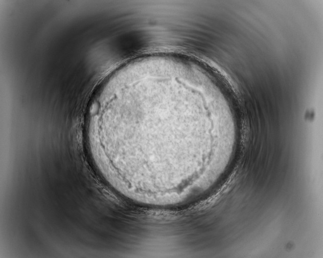 X0000103930921200810101350