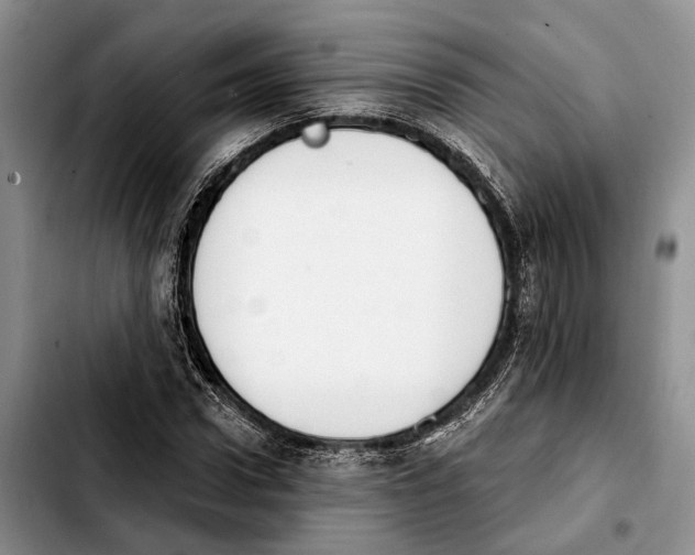 X0000103930922200810101350