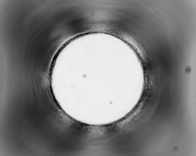 X0000103930924200810101350