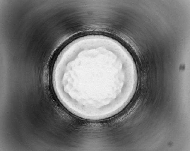 X0000103930925200810101350