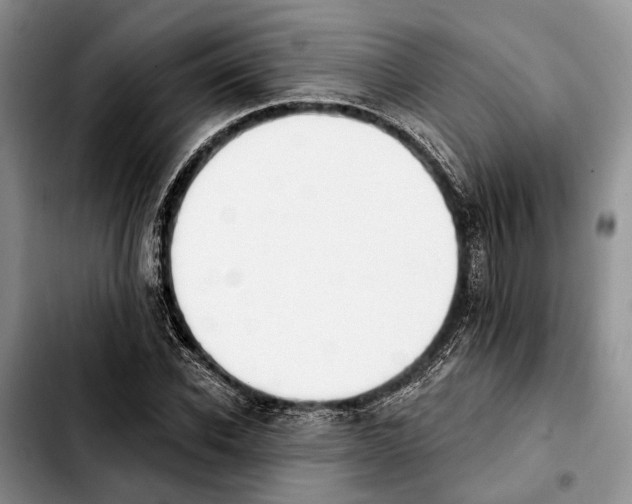 X0000103930926200810101350