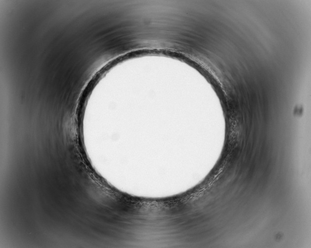 X0000103930927200810101350