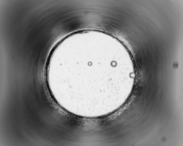 X0000103930928200810101350