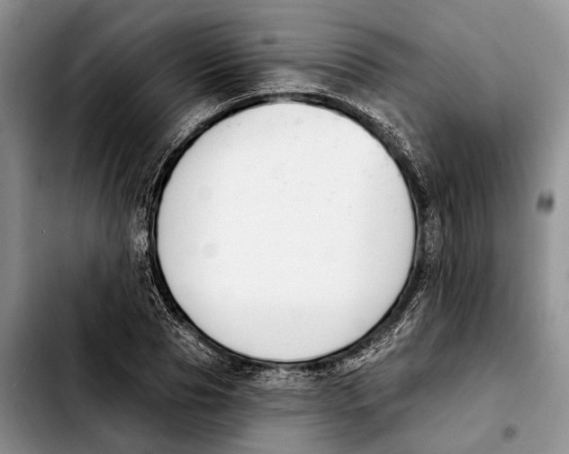 X0000103930929200810101350