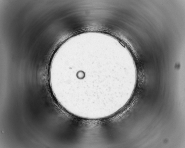 X0000103930930200810101350