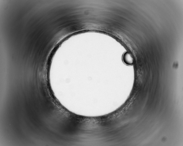 X0000103930931200810101350