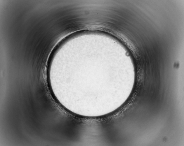 X0000103930932200810101350