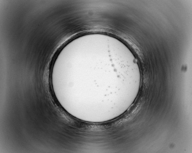 X0000103930933200810101350