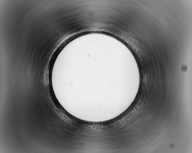 X0000103930934200810101350