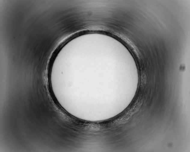 X0000103930935200810101350