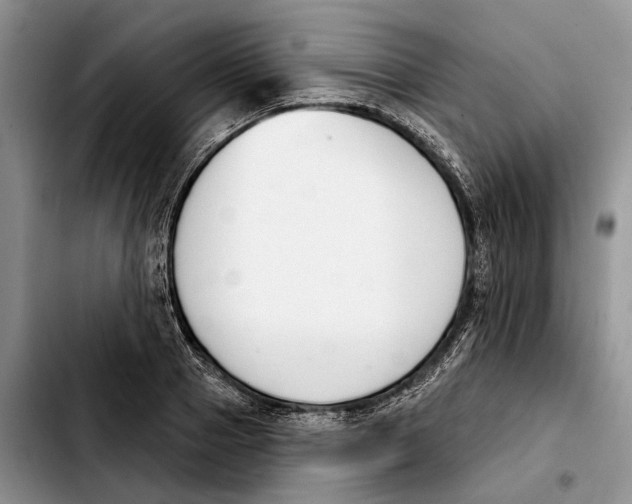 X0000103930937200810101350