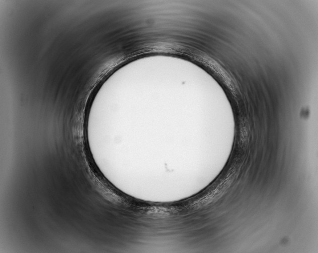 X0000103930938200810101350