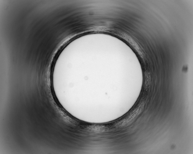 X0000103930939200810101350